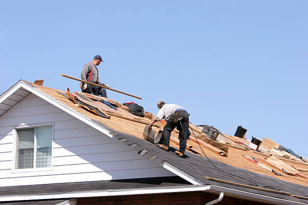 Best Asphalt Shingle Roofing  in Claysburg, PA
